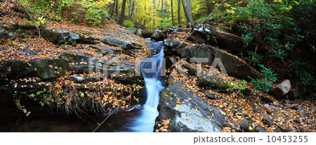 creek on rocks with foliage panorama creek on rocks with foliage panorama 10453255