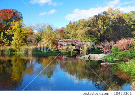 New York City Manhattan Central Park 10453301