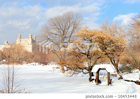 New York City Manhattan Central Park in winter 10453448