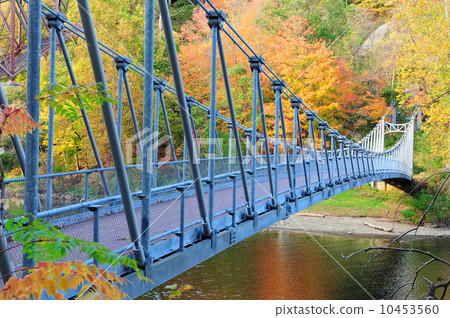 Bear Mountain foliage 10453560