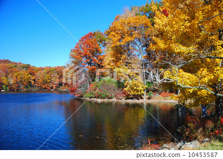 Autumn Mountain with lake 10453587