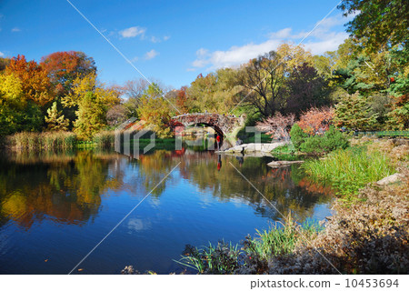 New York City Manhattan Central Park New York City Manhattan Central Park 10453694