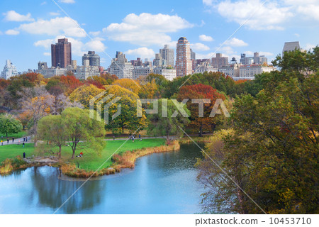 New York City Manhattan Central Park 10453710