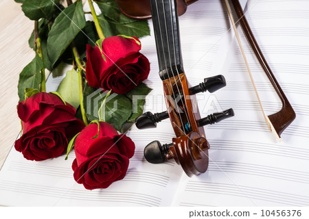 圖庫照片: violin, rose and music books