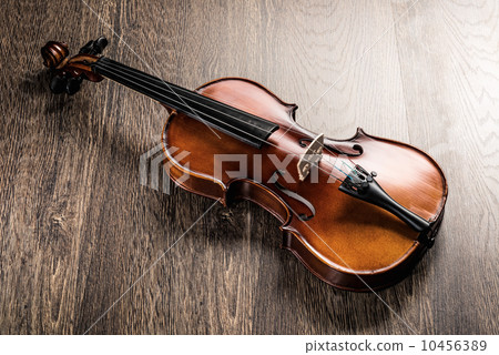 violin violin 10456389