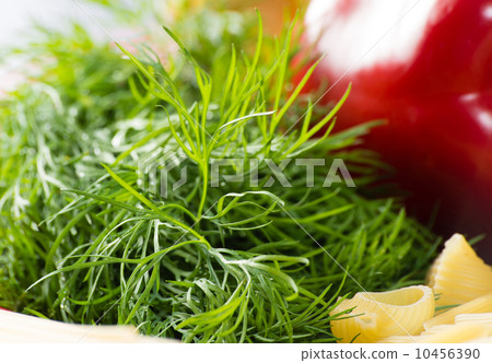 close-up of dill leaves close-up of dill leaves 10456390