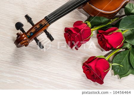 Violin, rose and music books Violin, rose and music books 10456464