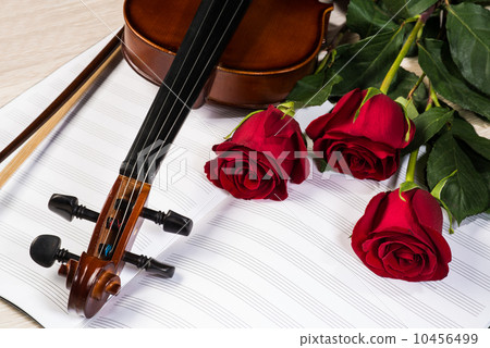 Violin, rose and music books Violin, rose and music books 10456499