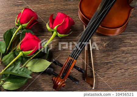 Violin, rose and music books Violin, rose and music books 10456521