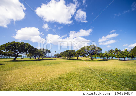 Ala Moana Park - 1 Ala Moana Park - 1 10459497