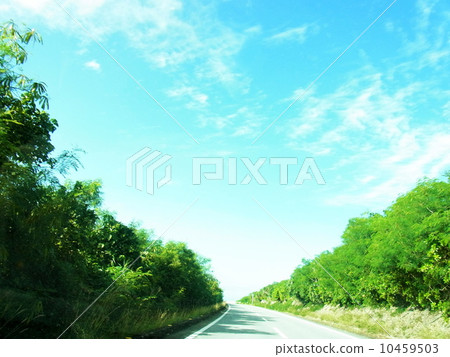 Miyakojima Drive 1 10459503