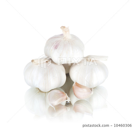 garlic 10460306