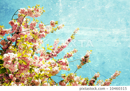 grunge flowers grunge flowers 10460315