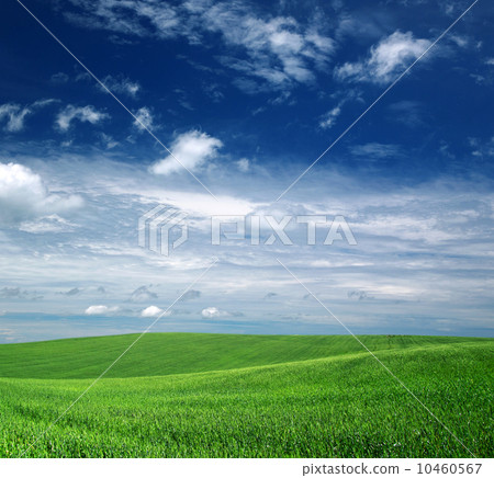 green field 10460567