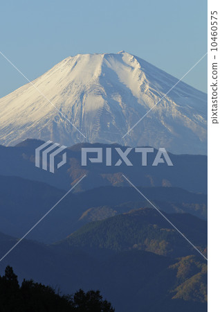 富士山 10460575