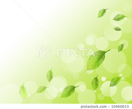 Fresh green 10460633