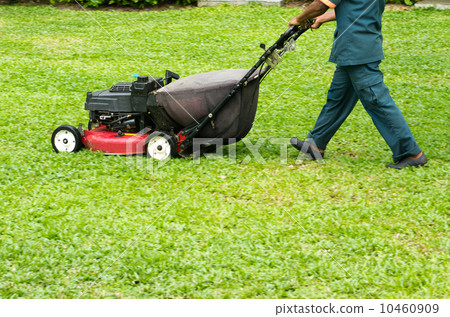 mowing the lawn mowing the lawn 10460909