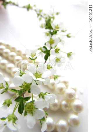 Pearls and florets 10461211