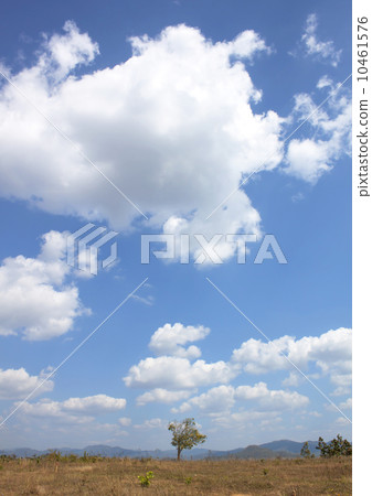 Blue Sky Weather Nature Blue Sky Weather Nature 10461576