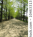 Wakaba Ginkgo Aki 10463313