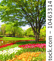 Tulip Festival 10463314