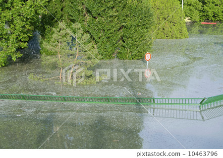 Flooded Green Fence 10463796