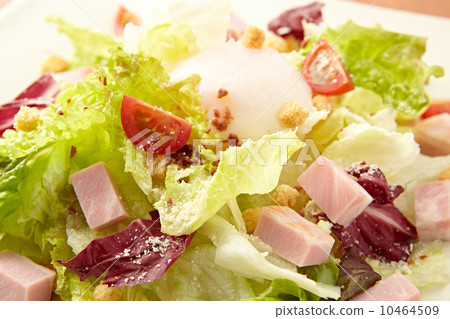 Caesar salad  10464509