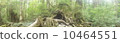 威爾遜股票 10464551