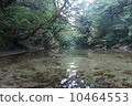 淀川 10464553