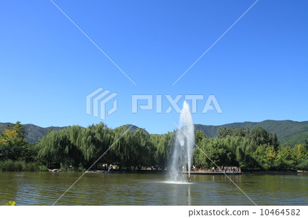 Beijing Botanical Garden 10464582