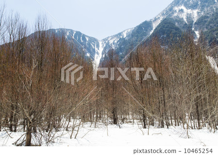 Kamikochi Hayarano 10465254