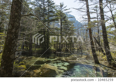 Kamikochi Hayarano 10465259
