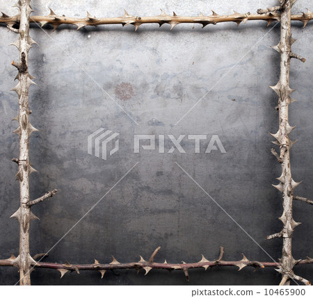 Frame from prickly dry branches on metal texture background Frame from prickly dry branches on metal texture background 10465900