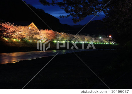 河津河照亮 河津河照亮 10466087