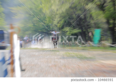 Flower horse Flower horse 10466591