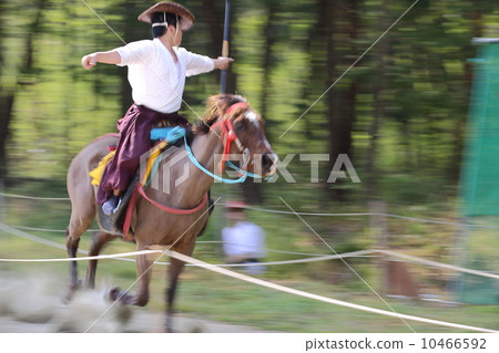 Flower horse 10466592