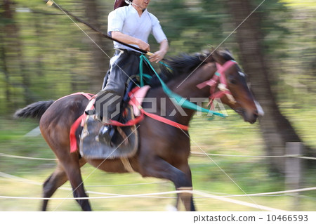 Flower horse Flower horse 10466593