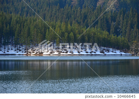 Pond of the core of Tsunamachi Pond of the core of Tsunamachi 10466645