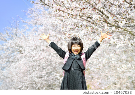 Banzai's new first grade girl (cherry blossoms) 10467028