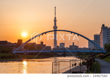 Fureatsu Bridge and Sky Tree 10467560