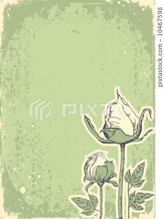 Vintage floral postacardfor design.Vector grunge image 10467598