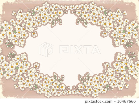 Vintage floral background with decor frame for text 10467660