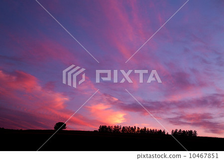 A night sky dancing in the evening sky 10467851