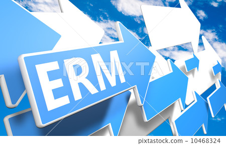 Enterprise Risk Management Enterprise Risk Management 10468324