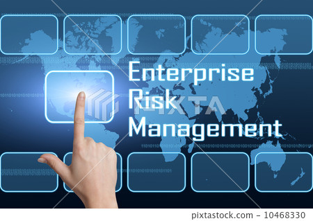 Enterprise Risk Management Enterprise Risk Management 10468330