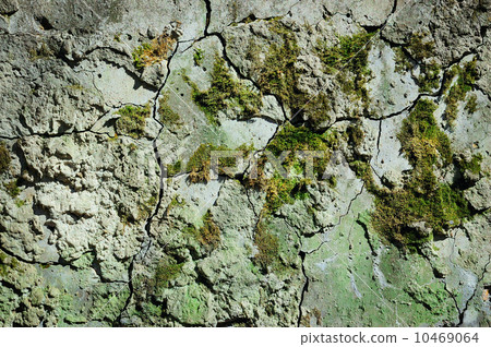 Old cement wall 10469064