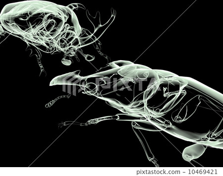 與甲蟲的雄鹿甲蟲 10469421