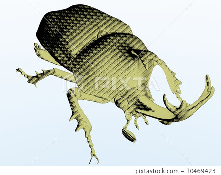 Beetle 10469423