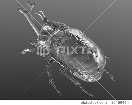 Beetle 10469424
