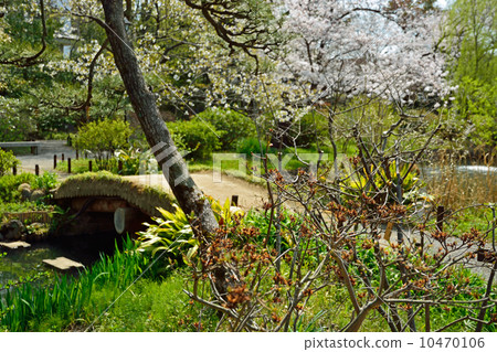 Mukojima Hyakuen Mukojima Hyakuen 10470106